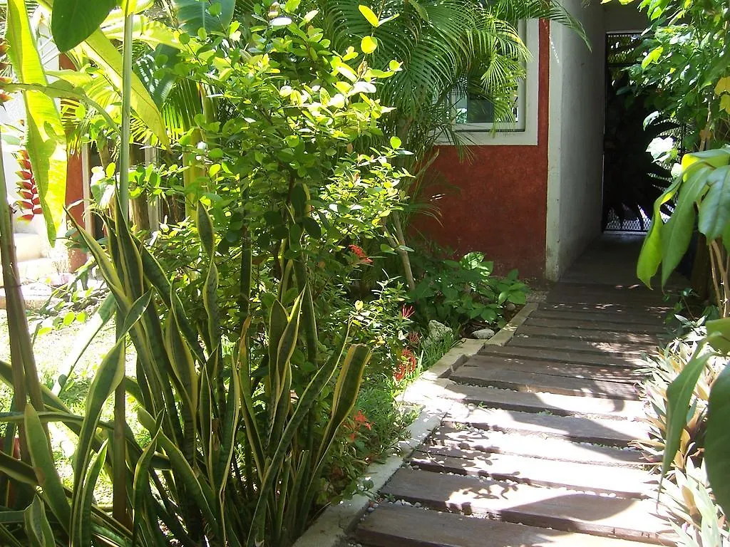 Elements Of The Island Apartment Isla Mujeres