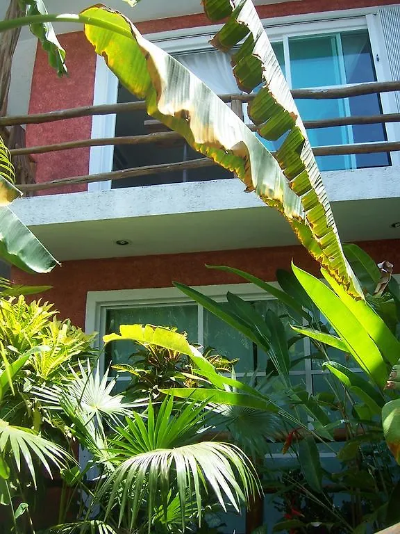Elements Of The Island Apartment Isla Mujeres