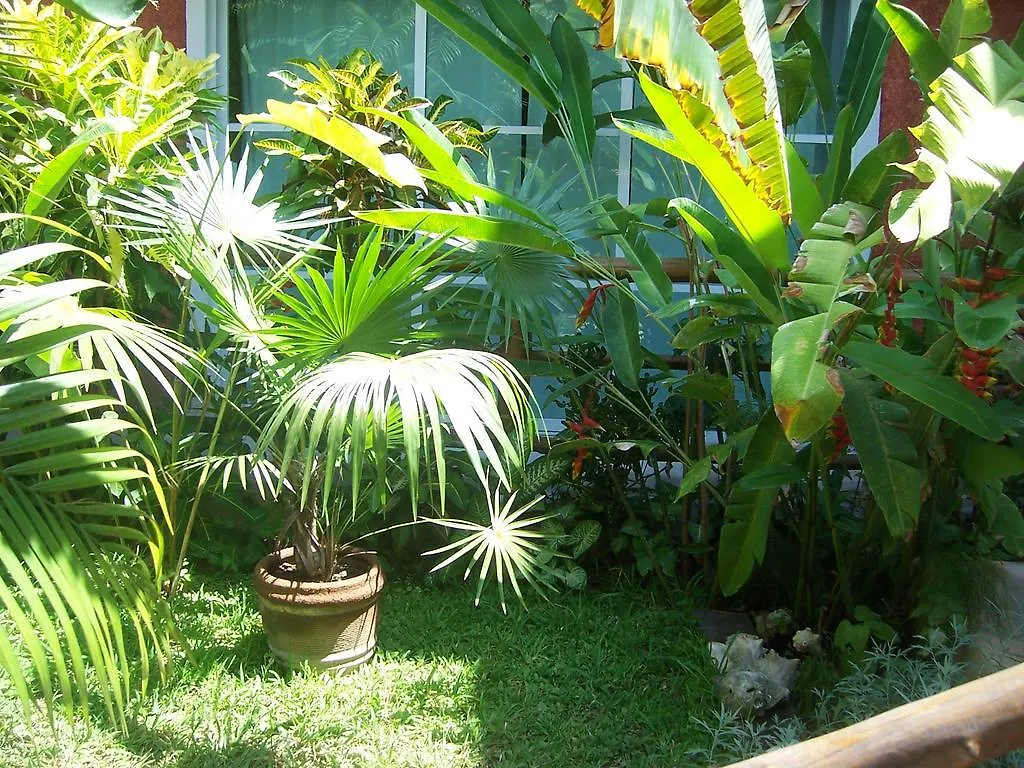 Elements Of The Island Apartment Isla Mujeres 0*,  Mexico