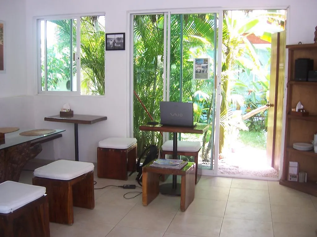 Elements Of The Island Apartment Isla Mujeres